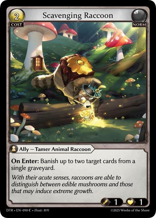 [DTR] Scavenging Raccoon — 090
