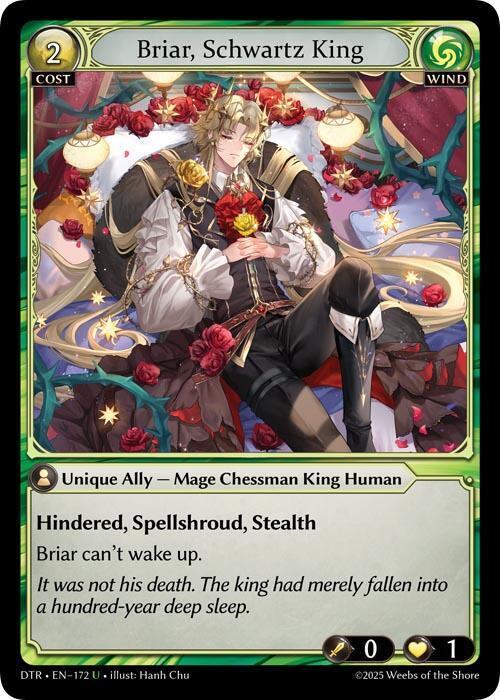 [DTR] Briar, Schwartz King — 172