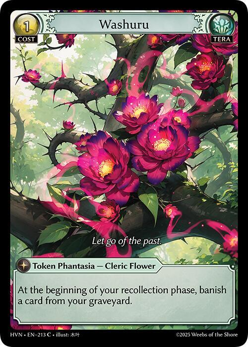 [HVN] Washuru — 213