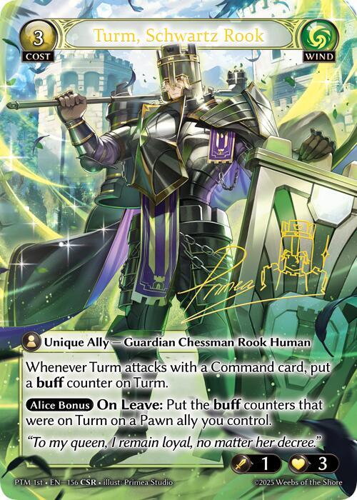 [PTM] Turm, Schwartz Rook (CSR) — 156